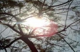 Nắng nóng lan rộng, có nơi lên đến 37 độ C 